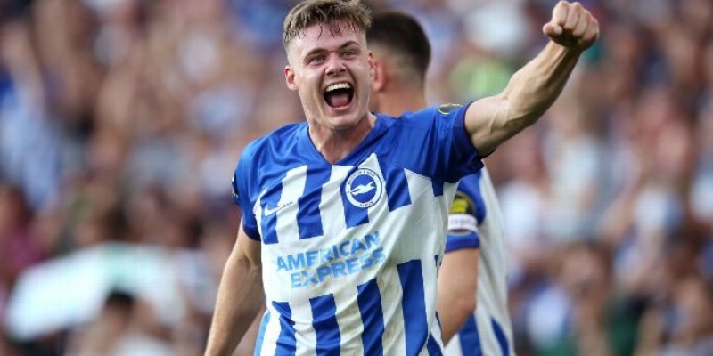 Brighton & Hove Albion vs Newcastle United